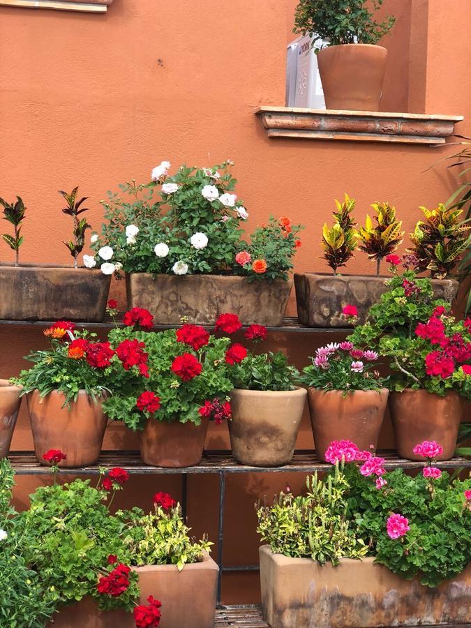 Xacalli Hotel San Miguel de Allende Kültér fotó